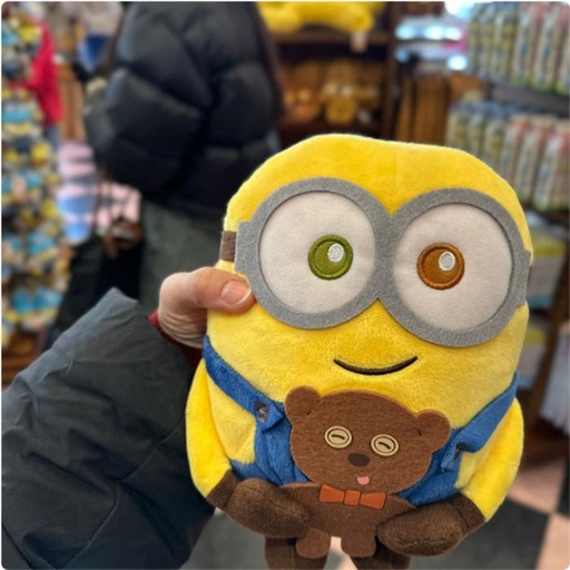 [1/26/2025-10:29-450] Minion Pen Case