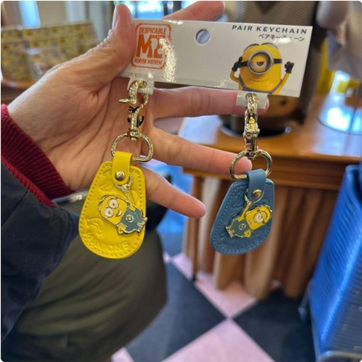 [1/26/2025-10:41-340] Keychain Minion Sets Contents 2 