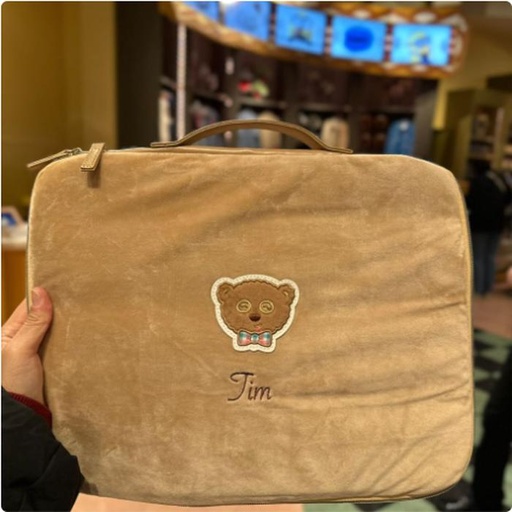 [1/26/2025-11:09-600] Laptop Case Tim