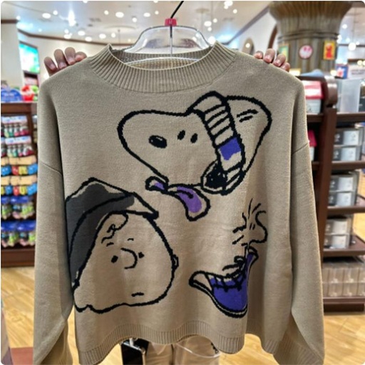 [1/26/2025-11:12-None1250] Snoopy Sweater