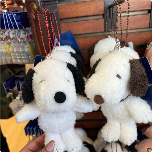 [1/26/2025-11:48-380] Bagcharm Snoopy Classic