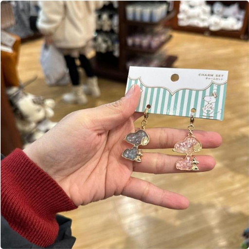 [1/26/2025-11:49-300] Charm sets Snoopy contents 2 